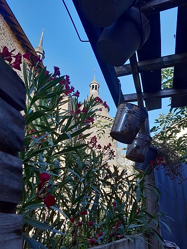 296120758_3635871159972952_2342638631633377448_n