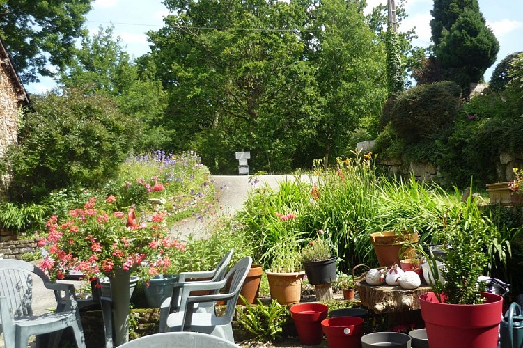 terrasse-couleur-creole