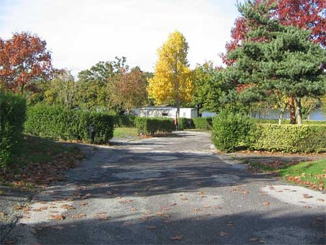 bois-feuillet-martigne