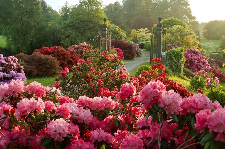Chambres d'hôtes Château de La Foltière (2)