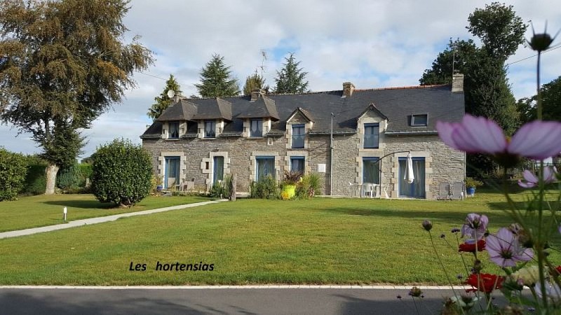 Les Hortensias - Saint-Just