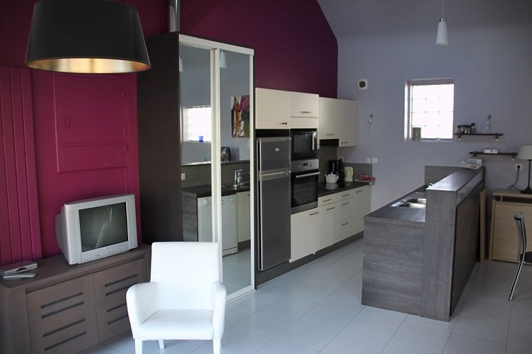 MADAME-ET-MONSIEUR-BREHAULT-JEAN-RENE-RUE-DES-OUCHES-DINARD-cuisine