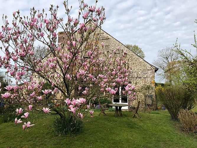 Jardin pour chambres d'hôtes