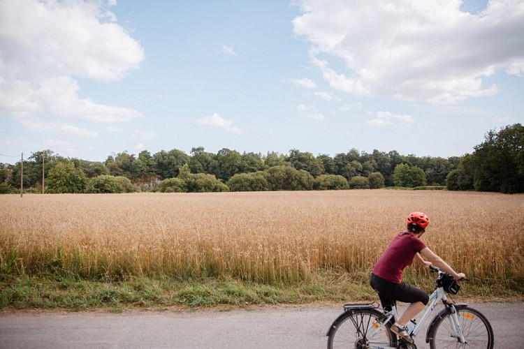 Environnement du Camping 