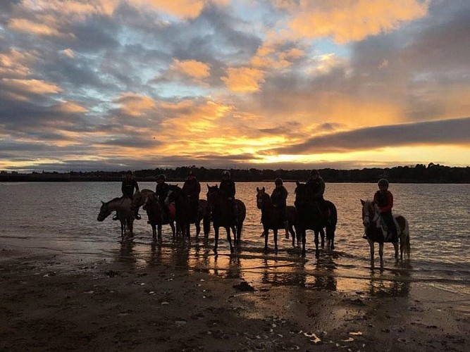 Poney Club - Aelis Poney Club - Saint-Malo