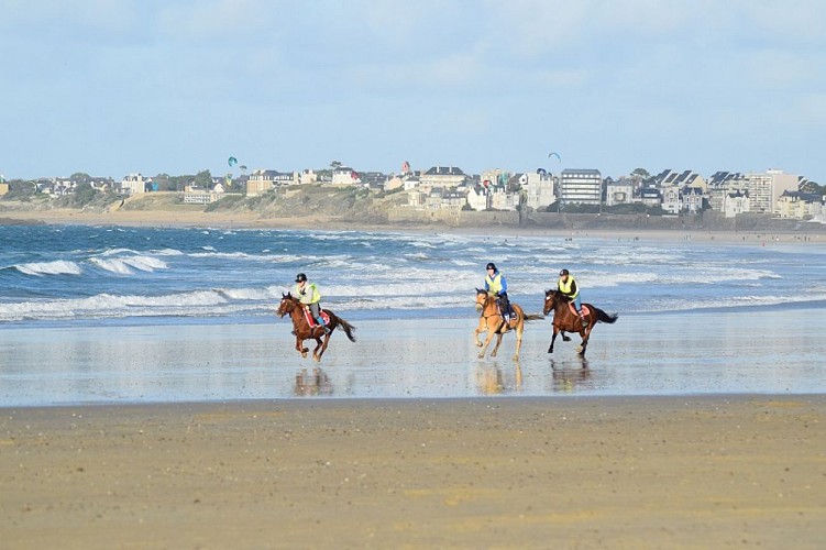 Poney Club - Aelis Poney Club - Saint-Malo