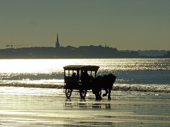 Loisirs-Les Chevaux de la Mer-Saint-Malo