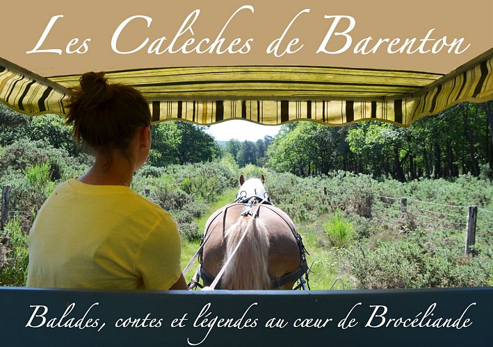 image 01 caleches barenton