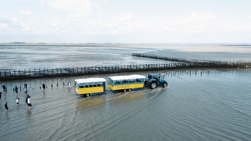 pêcherie traditionnelle baie du mont St Michel