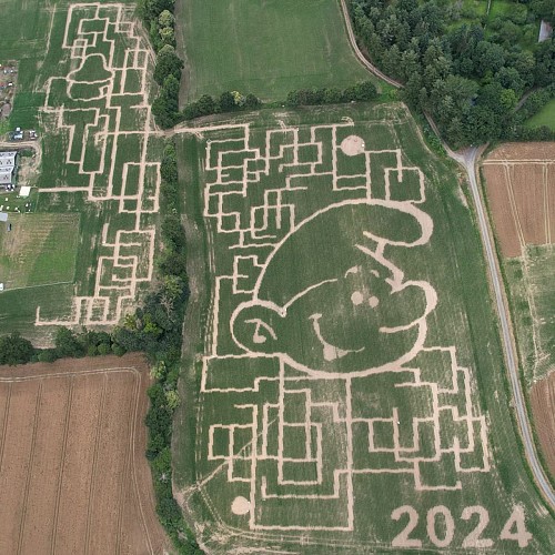Labyrinthe de Maïs de Combourg