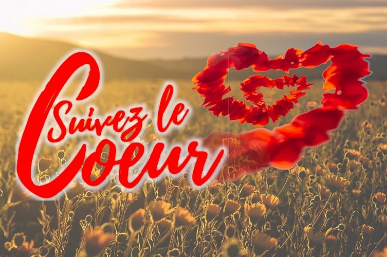 Suivez le coeur - logo