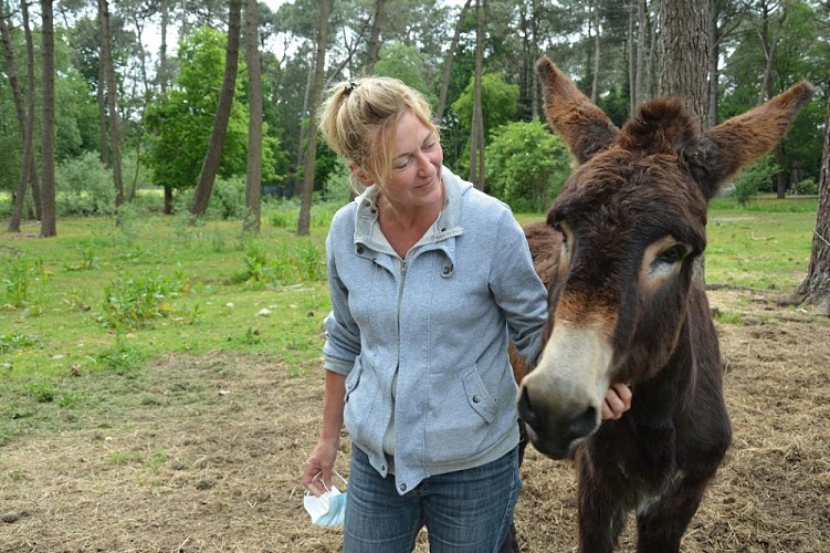 histoires-d-anes-eve