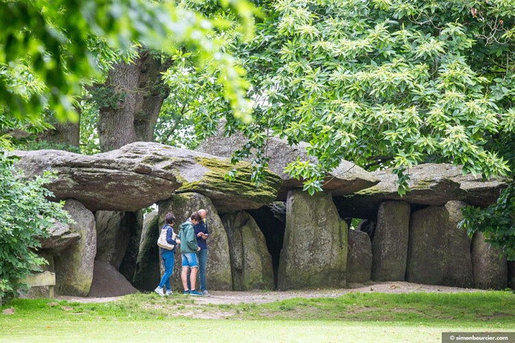 Maison de la Roche aux Fées à Essé