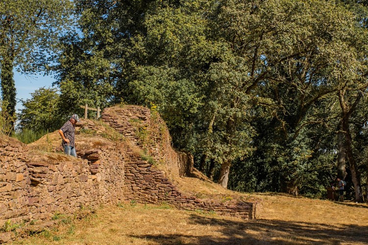 Domaine de Boutavent - Juillet 2022 - Marie HOUSSIN  (21)