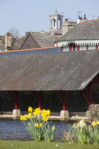 VJONCHERAY_LAVOIR_MONTFORT (29)