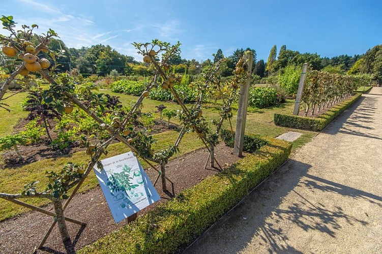 Verger et potager de la Bourbansais