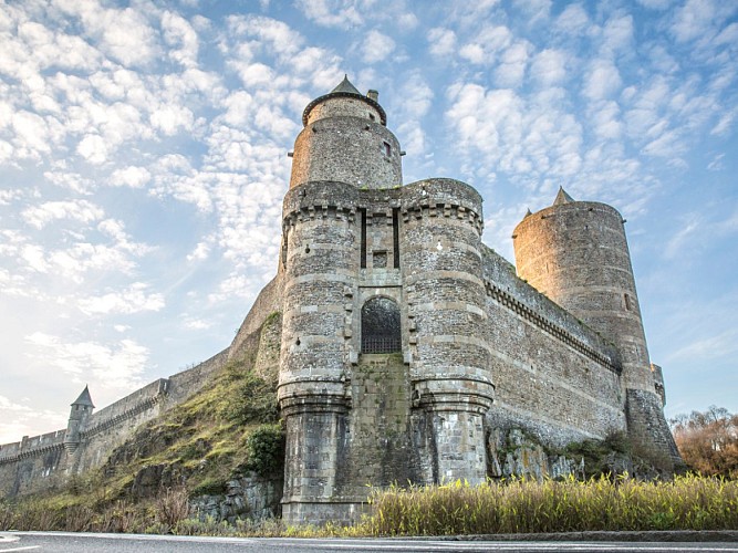 Chateau de Fougeres-vue remparts-®Lionel Le Saux 600px