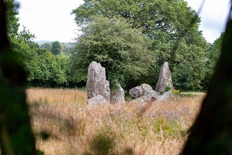 Mégalithes de Lampouy 