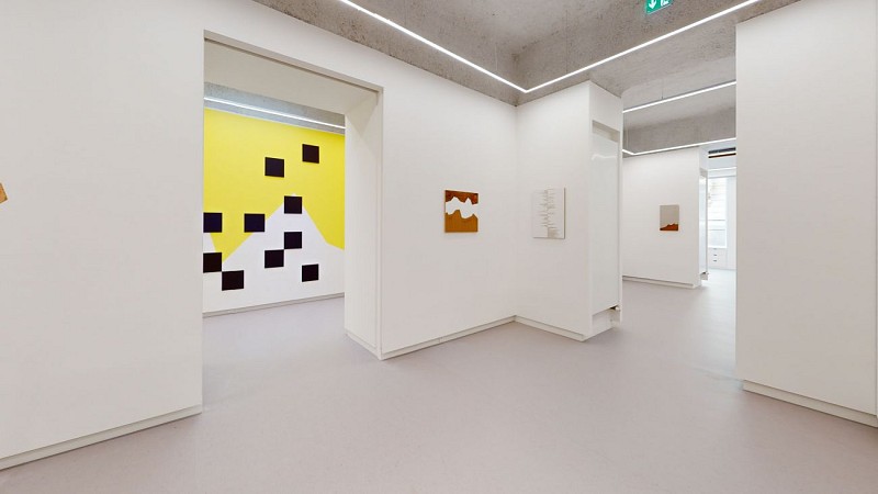 Olivier Petiteau, exposition Grenouilles et Champignons, Galerie Oniris 2024