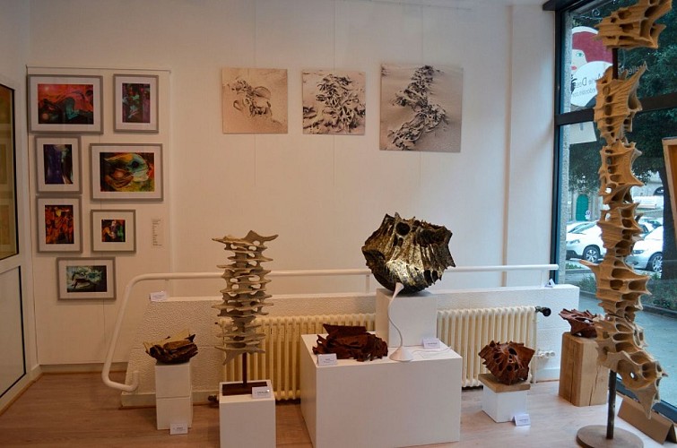 Atelier Galerie - Godoy Dossin - Saint-Malo