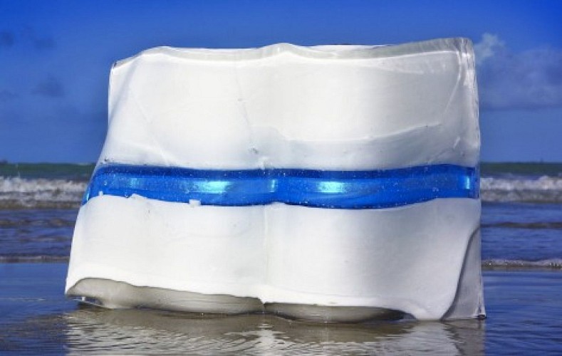 Chantal-Royant-sculpure-glace