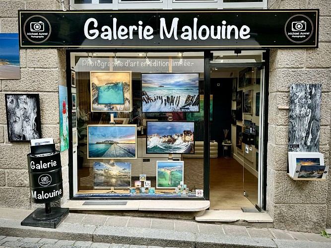 GALERIE copie