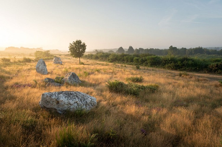 Les mégalithes et landes de Saint Just