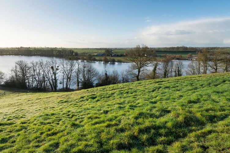 Etang de Marcillé-Robert