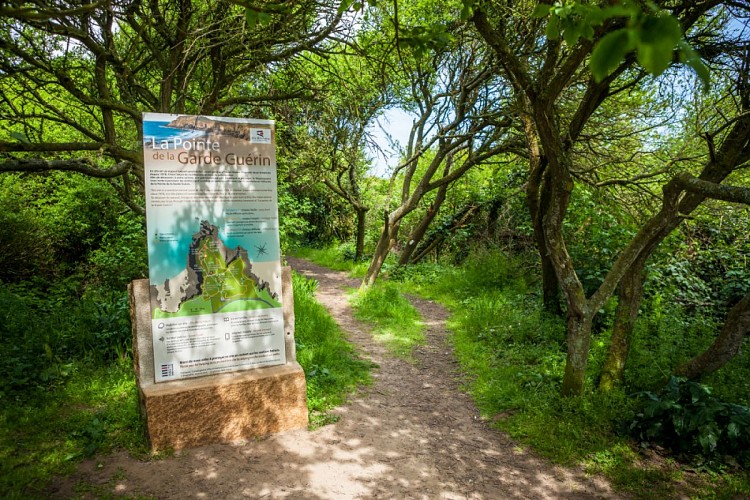La pointe de la Garde Guérin