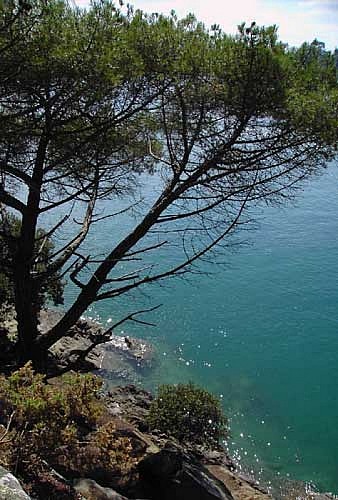 La Pointe de Cancaval