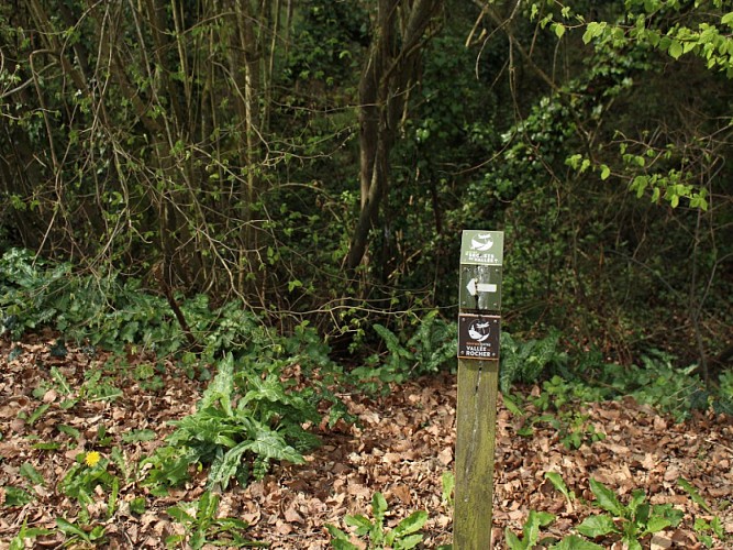 monthault-randonnee©E Petitjean(2) 800x600