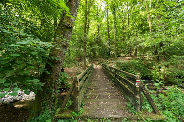 Les roches du Saut-Roland