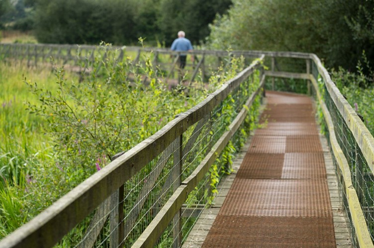 Le marais de Gannedel