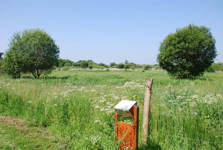 Sentier découverte du Marais de Gannedel