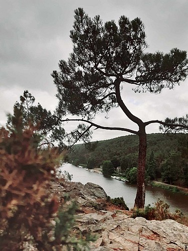 359943876_308743238260887_9176443967303601215_n