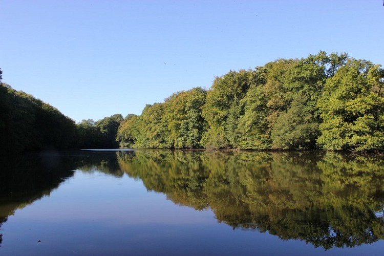 La Higourdais - Epiniac (10)