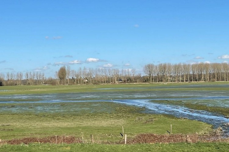 Marais de Sougeal- réserve naturelle régionale