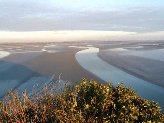 La Baie du Mont Saint Michel