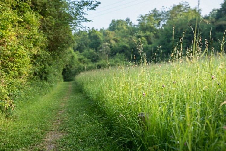 1. Le site de Lormandière_E.Berthier