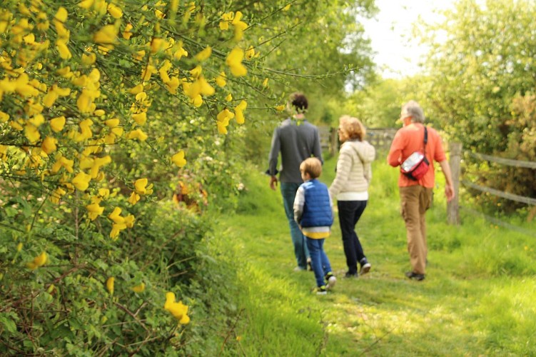 Réserve ornithologique du domaine de Careil Iffendic©office de tourisme Lac de Trémelin (3)