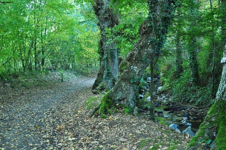 Randonnée pleumeleuc Vaunoise ©Sentiers de la vaunoise (3)