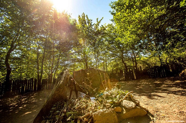 Tombeau de Merlin forêt de Brocéliande