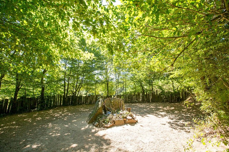 Tombeau de Merlin forêt de Brocéliande