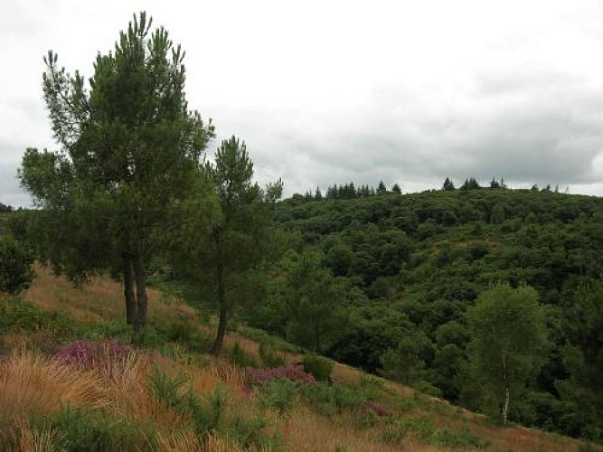 Val sans retour Brocéliande