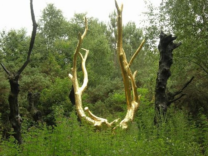 Arbre d'Or Brocéliande