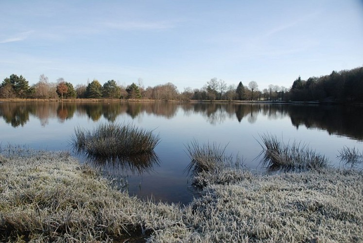 Etang de la Marette