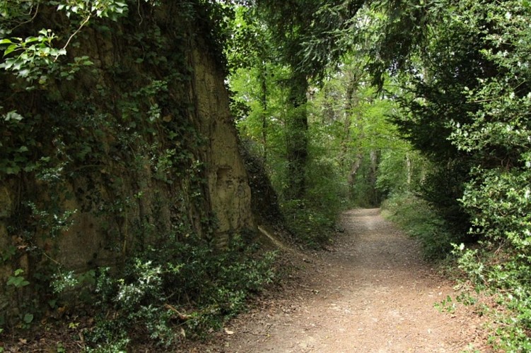Buttes de la Hautiere Muel