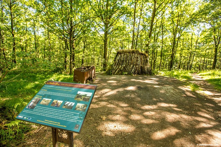 Forêt de Brocéliande