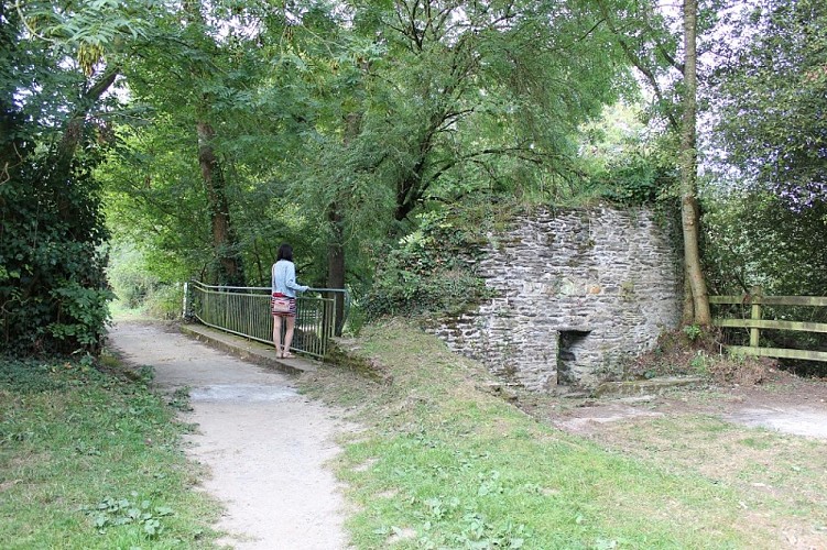 Le site naturel de Pasdavy à Servon-sur-Vilaine