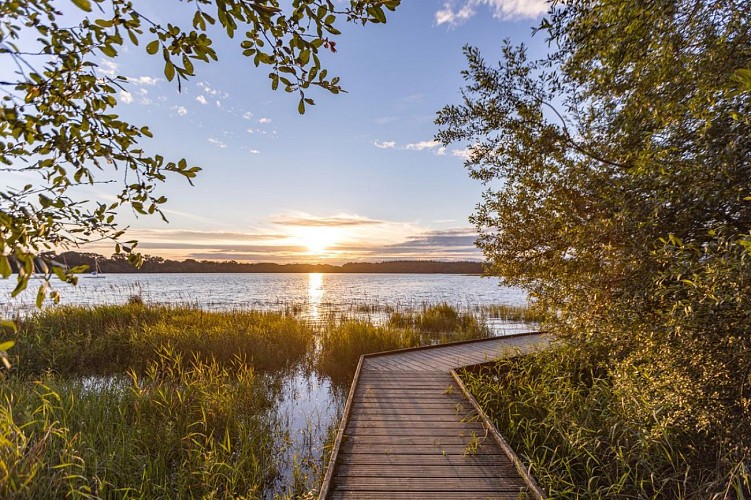 Etang et rigole du Boulet